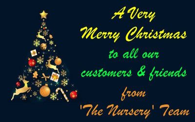 Happy Christmas 2022