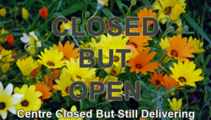The Nursery Garden Centre Closed but Open