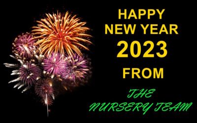 Happy New Year 2023