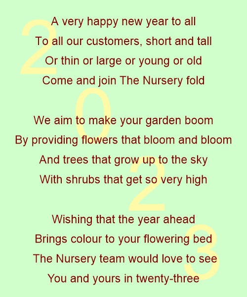 New Year Poem 2023