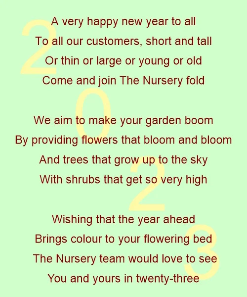 New Year Poem 2023
