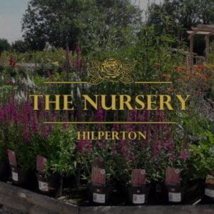 The Nursery Garden Centre OG Twitter 400x400