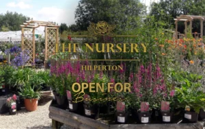 The Nursery Garden Centre Open for Business