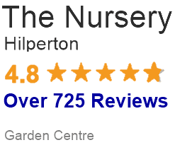 Review Nursery 4.8 Over 725 The Nursery Reviews 4.8 over 725