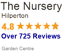 The Nursery Reviews 4.8 over 725
