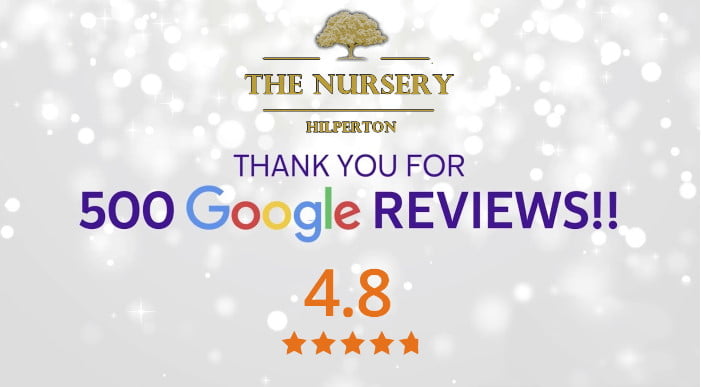 500 Google Reviews