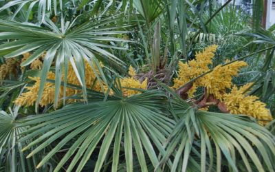 Our Tropical Feel House