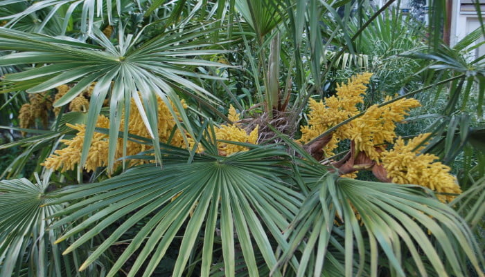 Our Tropical Feel House